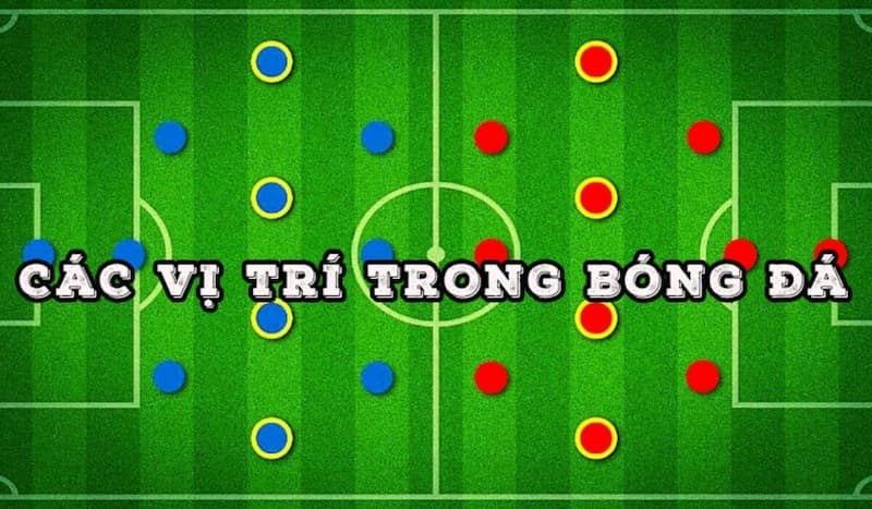 Trong Bóng Đá Có Bao Nhiêu Vị Trí Quan Trọng Chính Thức? 3 Trong bóng đá có bao nhiêu vị trí tiền vệ chính?